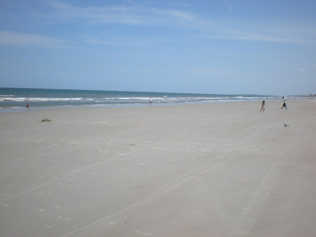 This is why I love northern Florida beaches.  NO PEOPLE!!!