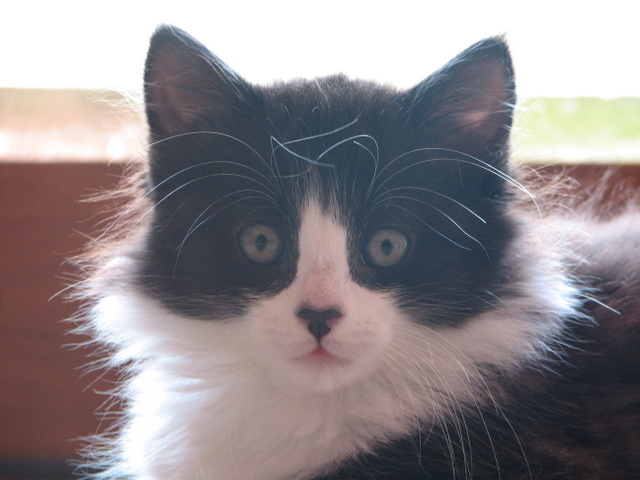 This is the latest addition to our family.