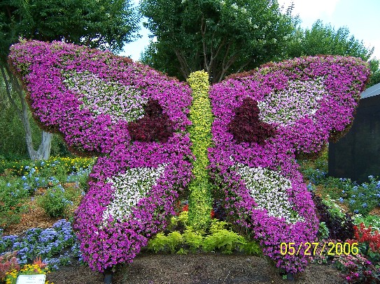 Epcot