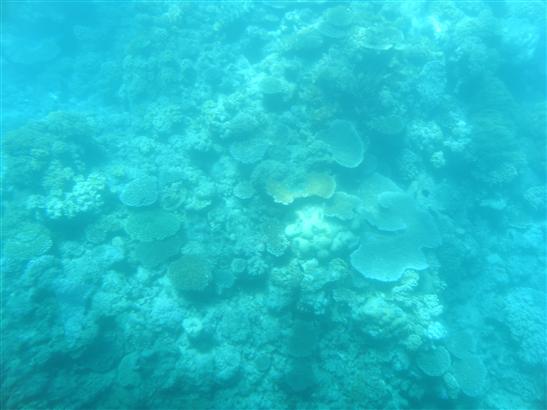 through a window of the semi-submersable.