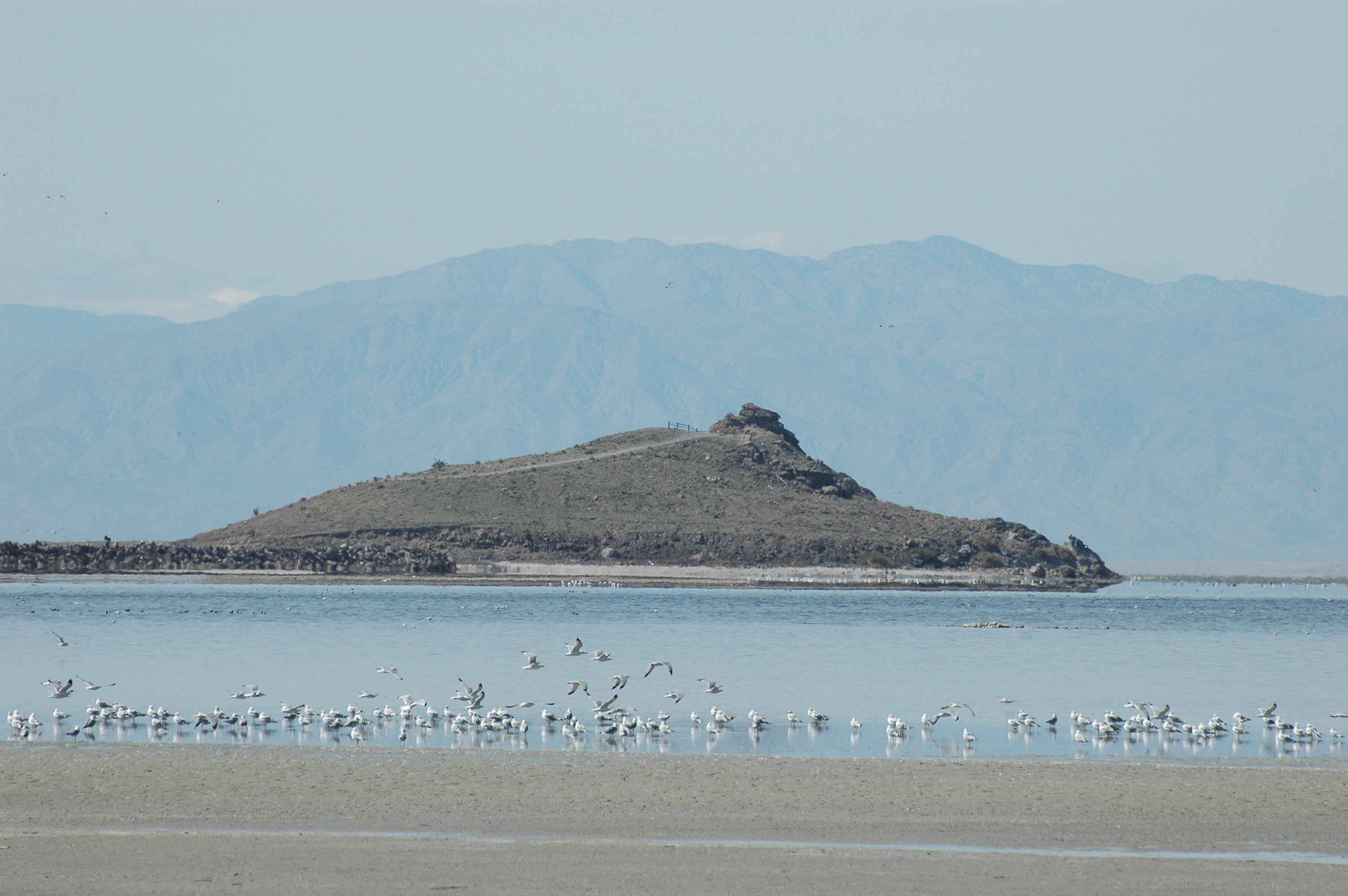 An old volcanic cone on the edge of the sea