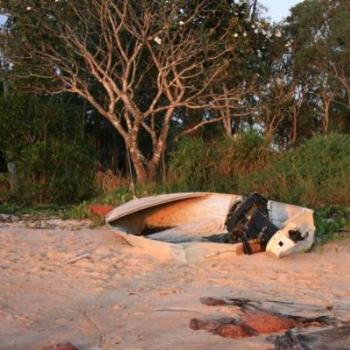 <b>Basking in a Tiwi sunset.  fi from NT</b>