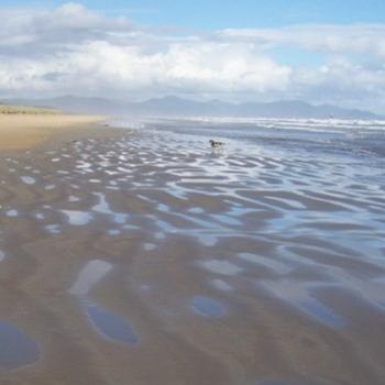 <b>Tide is out at Sandy Point/ dino</b>