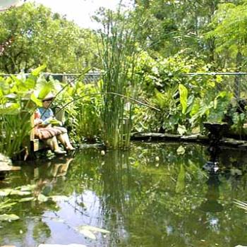 <b>Anne's water garden, Carolina Beach / kr NC</b>