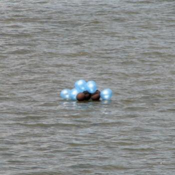 <b>balloons floating in the river Kate/Sydney</b>