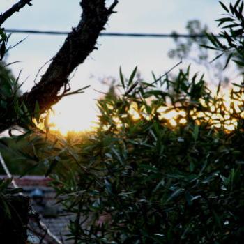 <b>SLJn08 sunrise in my street Kate/Sydney</b>