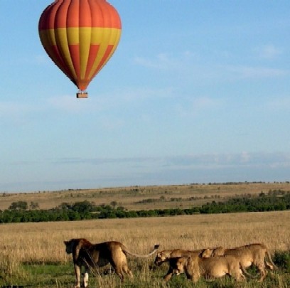 <b>Masai Mara "Breakfast by air?" 2004 - Keyan Bowes</b>