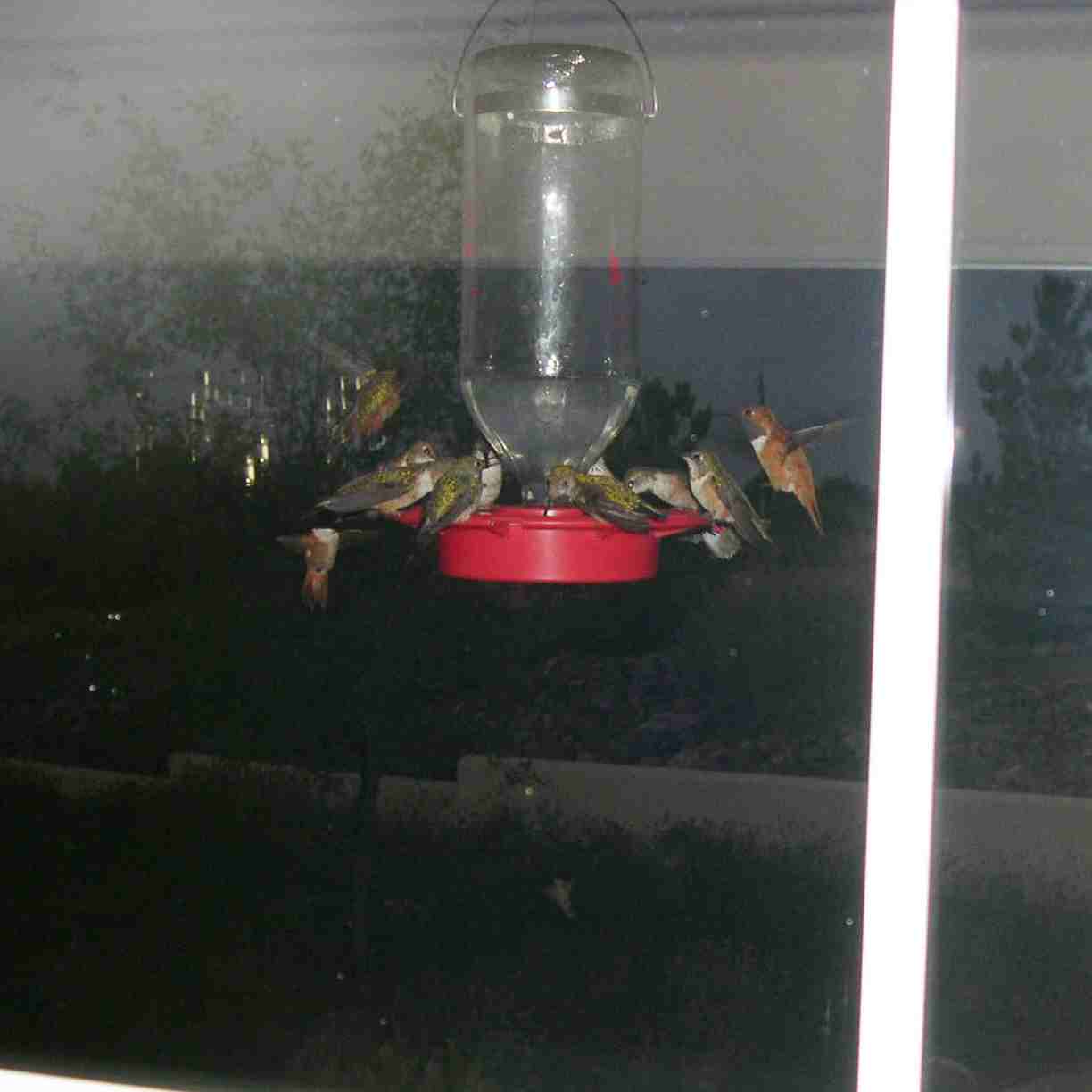 <b>If you like hummers, here are a few more.</b>