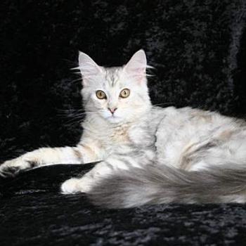 <b>My darling girl</b>
