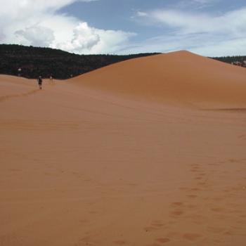 <b>Coral Pink Sand Dunes in Utah</b>