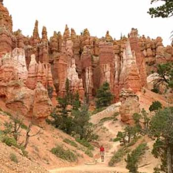 <b>Queen's Garden, Bryce National Park, Utah</b>