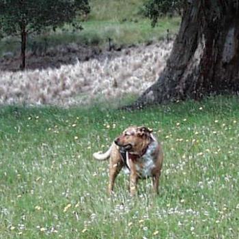 <b>Schultz at Lloran, Feeling the Breeze</b>