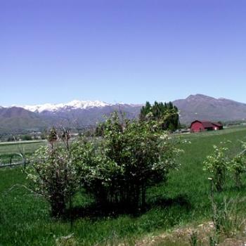 <b>View of Heber Valley, Utah, from steam engine train</b>