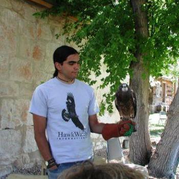 <b>Hawk Demonstration in Utah</b>