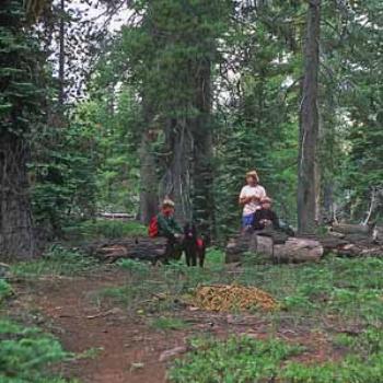 <b>Hiking near Lake Almanor, CA. The dog carries his own gear.</b>