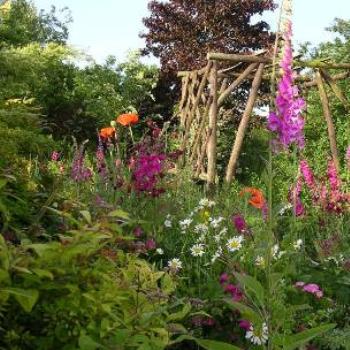 <b>English country garden</b>