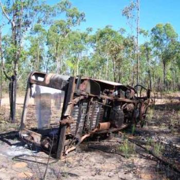 <b>Here lies Buster! Probably just past being restored, he lies in testimony to the dangers of roads of the bush.</b>