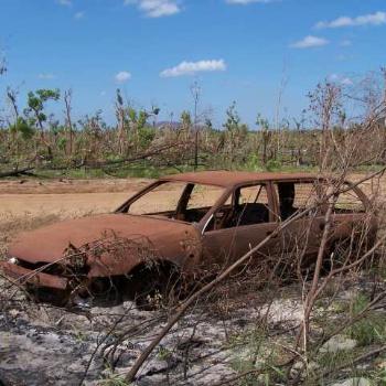 <b>Meet Rusty. Despite years of faithful service, Rusty was abandoned on the Arnhem Hwy and would love a new owner to lovingly restore him to his former self. Any Takers?</b>