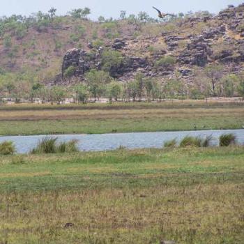 <b>Stripes of Arnhem Land NT</b>
