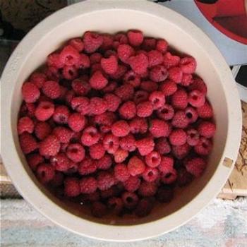 <b>Rasberries</b>