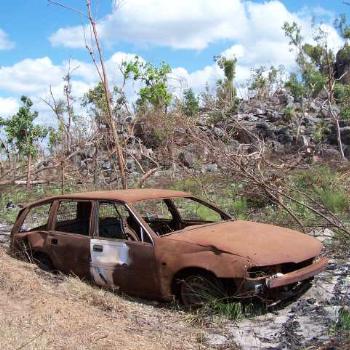 <b>I keep calling "Rusty, Rusty!" but he never moves a muscle.</b>