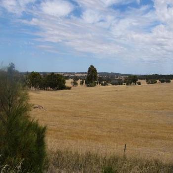 <b>Summer is approaching Albany to Perth</b>