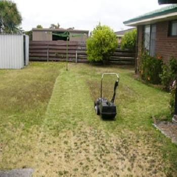 <b>Oh, for a Carlton Draught</b>