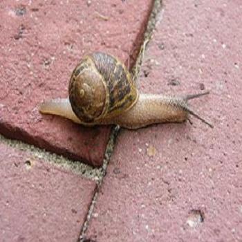 <b>On your mark, get set, GO!!</b>