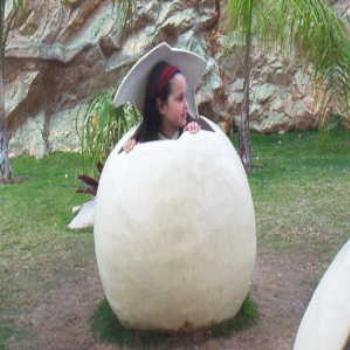 <b>noa in egg</b>