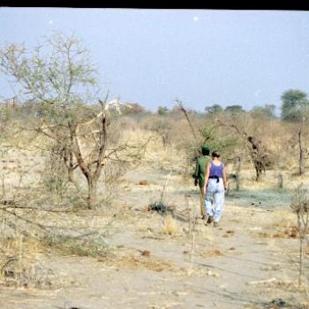 <b>This is the waste land left by the elephants from the night before</b>