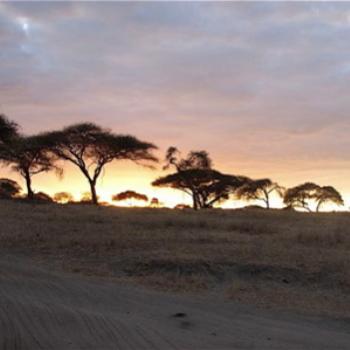 <b>Sunset in Tarangire, Tanzania</b>