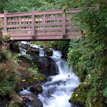 <b>waterfall in Columbia River Gorge</b>