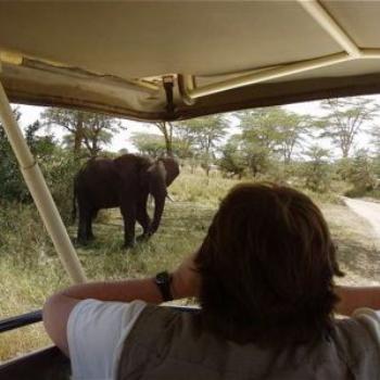 <b>Tanzania Safari, September 2006</b>
