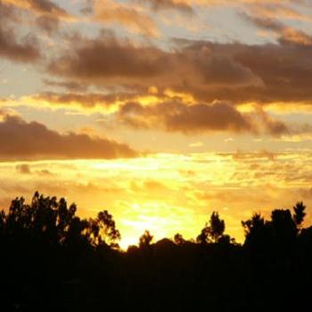 <b>Sunset in Albany</b>