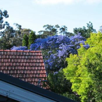 <b>Front door view Kate/Sydney</b>