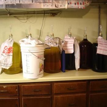 <b>Wine in different stages of fermentation. Kinda Snockered Wine, Linda from Minnesota</b>