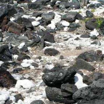 <b>Hawaii, black lava</b>