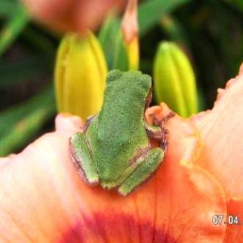 <b>What's Over There??</b>