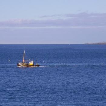 <b>Oyster trawler returning to Bluff NZ</b>