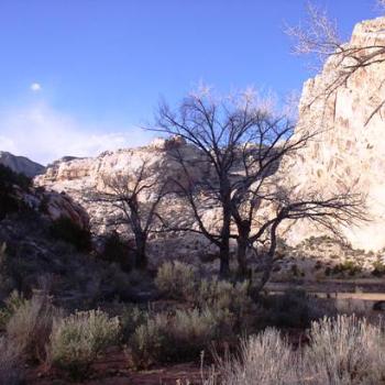 <b>Late winter at Green River in Dinosaur Nat'l Monument, Utah</b>