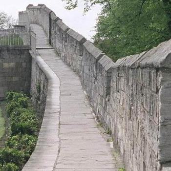 <b>York Wall</b>