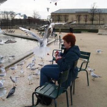 <b>Feeding Birds</b>