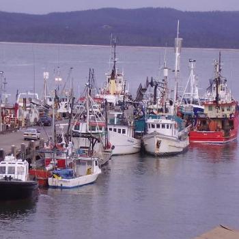 <b>Fishing fleet in port on a grey day. Eden Australia</b>