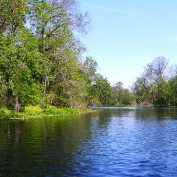 <b>Silver Springs Florida</b>