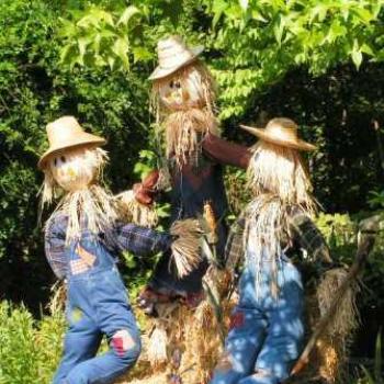<b>Scarecrows</b>