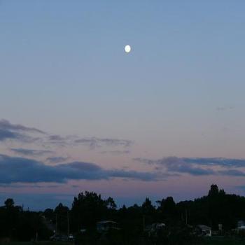 <b>Full Moon rising - Albany (Anne)</b>