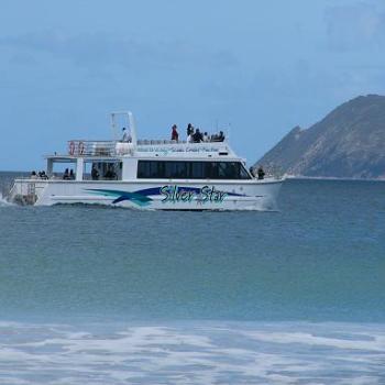 <b>Whale watching in Albany. Middleton Beach, (Anne)</b>