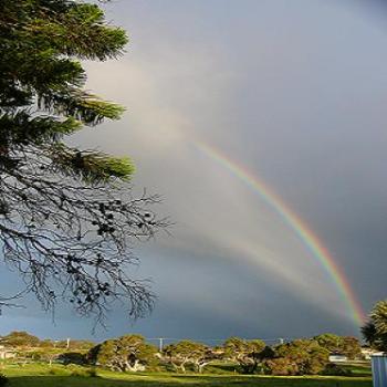 <b>Rainbow - Albany (Anne)</b>