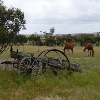 <b>I think it needs a new wheel! (Anne, Albany)</b>
