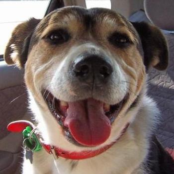 <b>Look at that smile!</b>